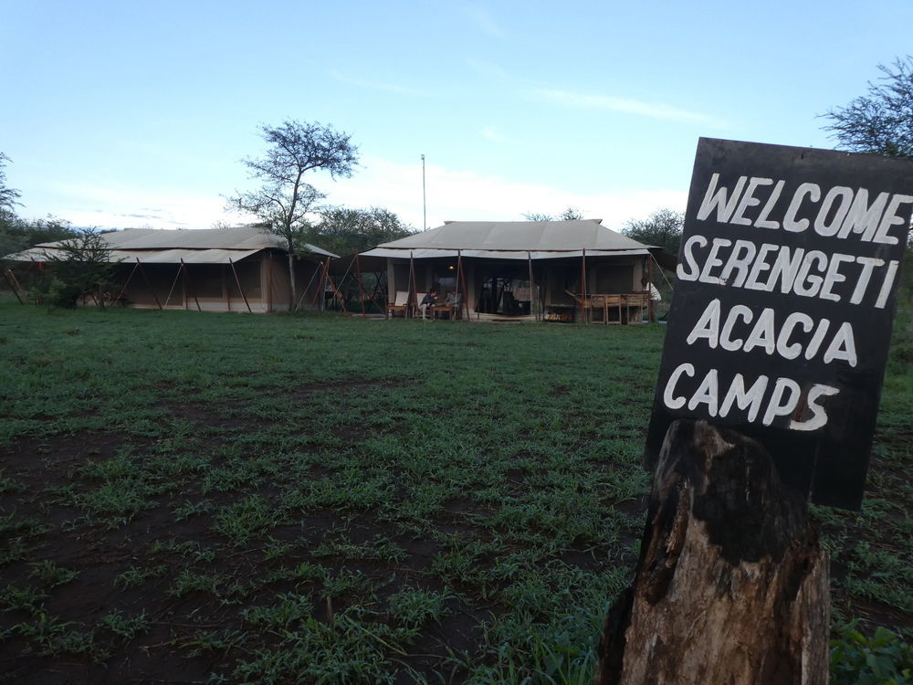 Serengeti Acacia Central Camp Esterno foto